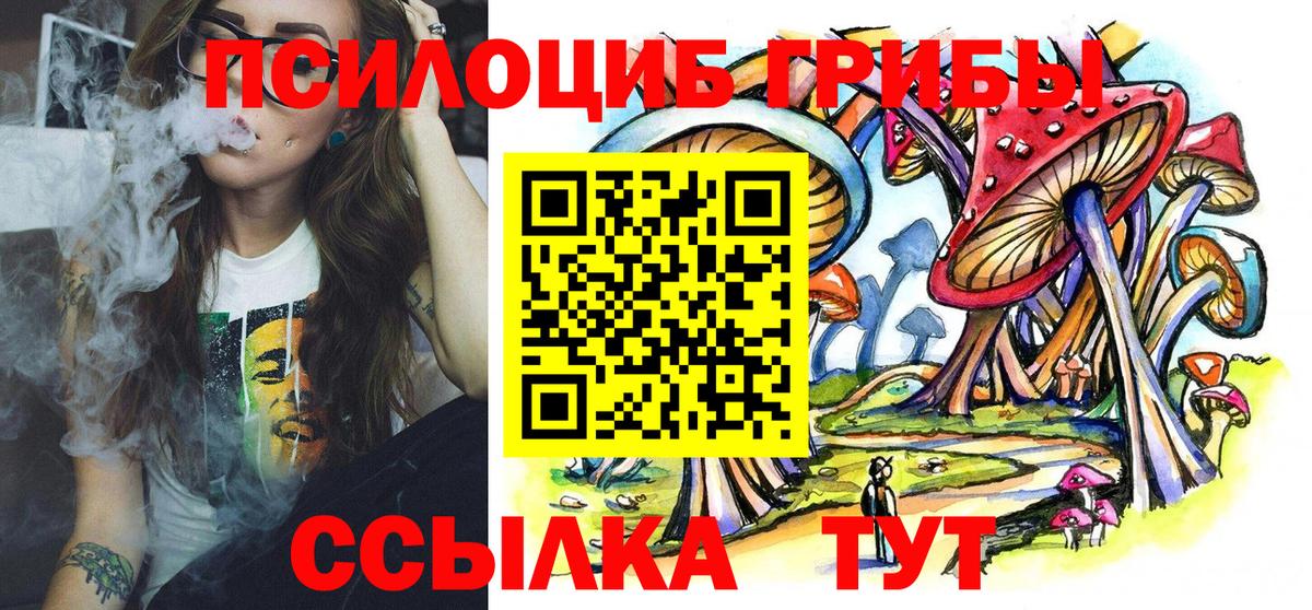 Новоалександровск  Галлюциногенные грибы MAGIC MUSHROOMS  Вход с VPN 
