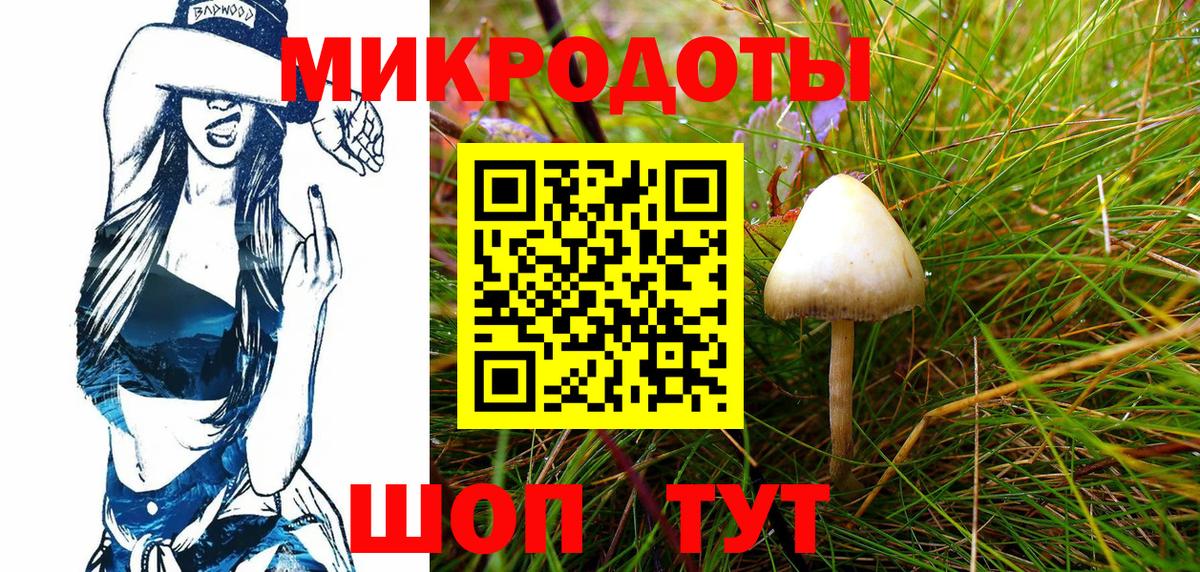 Галлюциногенные грибы GOLDEN TEACHER Новоалександровск